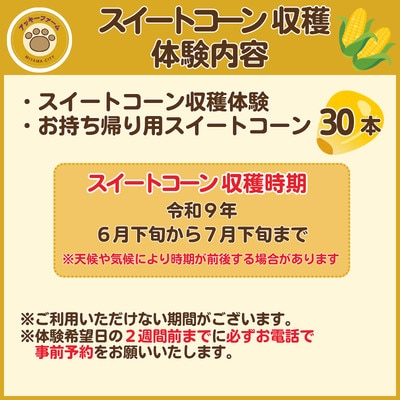 アッキーファーム スイートコーン収穫体験 (スイートコーン30本込み)