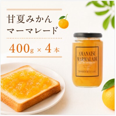 甘夏みかん マーマレード 400g×4本