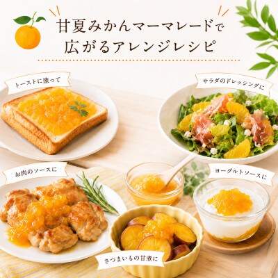 甘夏みかん マーマレード 400g×4本