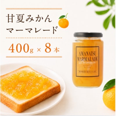 甘夏みかん マーマレード 400g×8本
