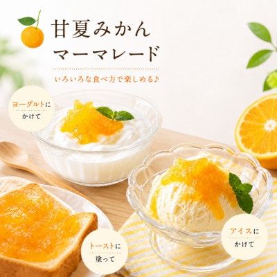 甘夏みかん マーマレード 400g×8本