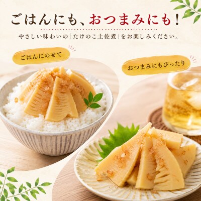 たけのこ土佐煮 180g×5袋(国産筍使用)
