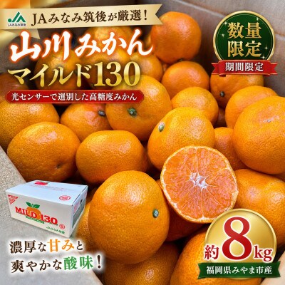 【数量限定】山川みかん マイルド130 約8kg(みやま市)