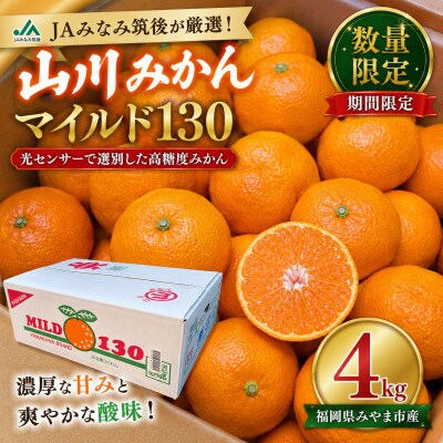 【数量限定】山川みかん マイルド130 約4kg(みやま市)