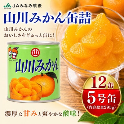 山川みかん缶詰 12缶セット JAみなみ筑後からお届け!(みやま市)