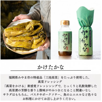 かけたかなドレッシング 190ml×2本セット