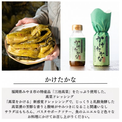 かけたかなドレッシング 190ml×3本セット