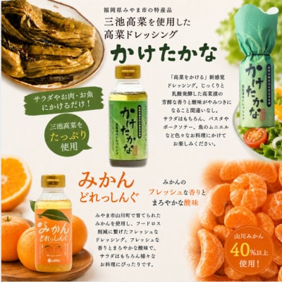 かけたかなドレッシング&みかんどれっしんぐ 190ml×各2本セット(計4本)