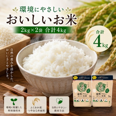 環境にやさしいおいしいお米 つやおとめ 計4kg(2kg×2袋)(みやま市)
