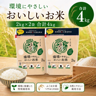 環境にやさしいおいしいお米 つやおとめ 計4kg(2kg×2袋)(みやま市)
