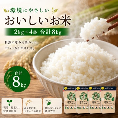 環境にやさしいおいしいお米 つやおとめ 計8kg(2kg×4袋)(みやま市)