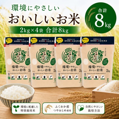 環境にやさしいおいしいお米 つやおとめ 計8kg(2kg×4袋)(みやま市)
