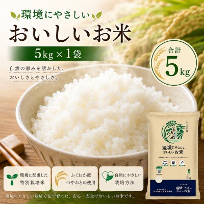環境にやさしいおいしいお米 つやおとめ 5kg×1袋(みやま市)