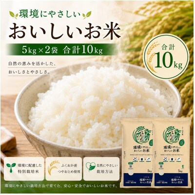環境にやさしいおいしいお米 つやおとめ 計10kg(5kg×2袋)(みやま市)
