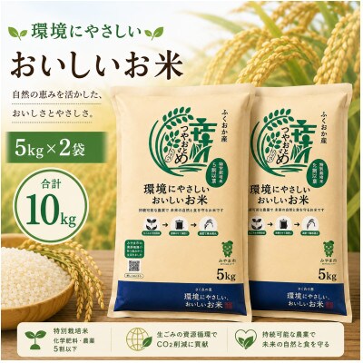 環境にやさしいおいしいお米 つやおとめ 計10kg(5kg×2袋)(みやま市)