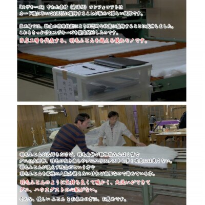 スザキーズ 肌掛け布団 ジュニアサイズ S17