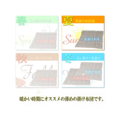 防ダニ 肌掛け布団 セミダブルサイズ S75