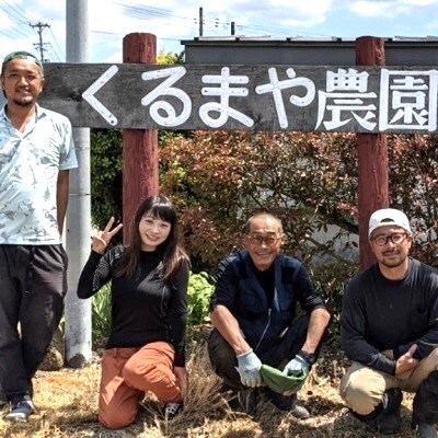 【フルーツ王国直送!】山形の大玉すいか(羅皇ザ・スウィート)1個　0033-2603