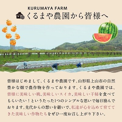 【フルーツ王国直送!】山形の大玉すいか(羅皇ザ・スウィート)1個　0033-2603