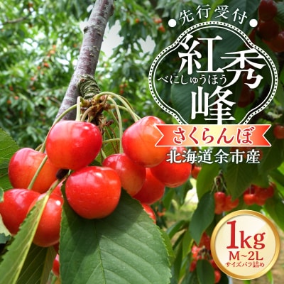 【2026年産 先行受付】北海道余市産 さくらんぼ「紅秀峰」500g×2パック_Y103-0054