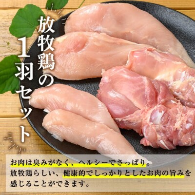 国産!オーガニックチキン1羽セット 未カット (計1.1kg～1.5kg)【お多福たまご】K-598