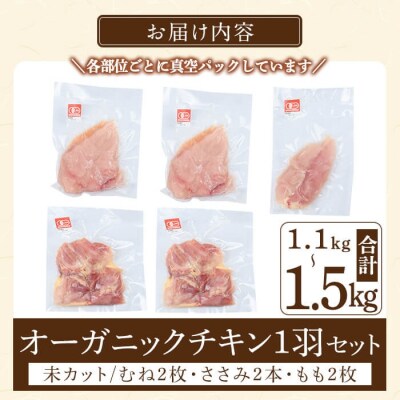 国産!オーガニックチキン1羽セット 未カット (計1.1kg～1.5kg)【お多福たまご】K-598
