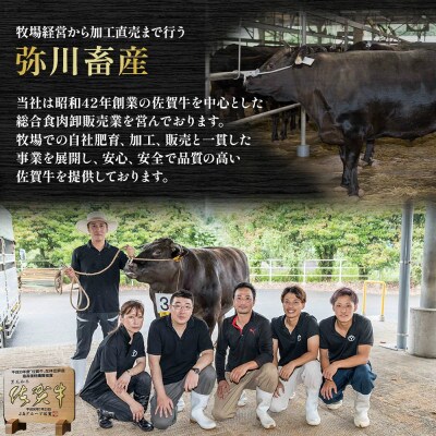 佐賀牛 カルビ焼肉 260g(太良町)【O176x1】