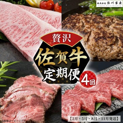 【発送月固定定期便】佐賀牛 贅沢!定期便【SE1x1】(太良町)全4回