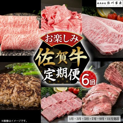 【発送月固定定期便】佐賀牛 お楽しみ便 絶品と評判のハンバーグ付き! 【T3×1】(太良町)全6回