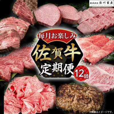 【発送月固定定期便】佐賀牛 毎月お楽しみ便 【V2×1】(太良町)全12回