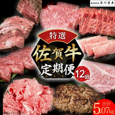 【発送月固定定期便】佐賀牛 特選!定期便【V11×1】(太良町)全12回