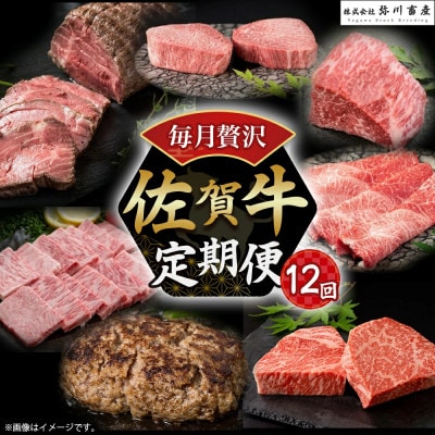 【発送月固定定期便】佐賀牛 毎月贅沢便 【W1x1】(太良町)全12回
