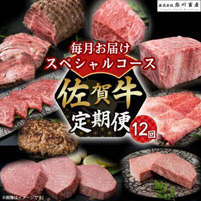 【発送月固定定期便】佐賀牛 毎月お届け便(スペシャルコース50)【Z2】(太良町)全12回