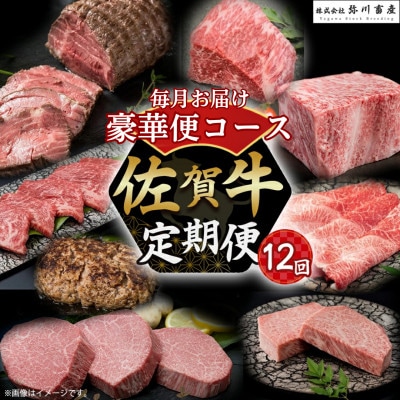【発送月固定定期便】佐賀牛 毎月豪華便100【ZAF1】(太良町)全12回