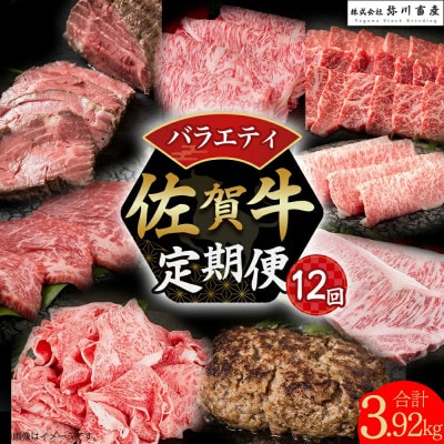 【発送月固定定期便】佐賀牛 バラエティ定期便【UB1x1】(太良町)全12回