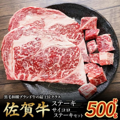 佐賀牛ロースステーキ・サイコロステーキセット　計500g(太良町) [PE4]