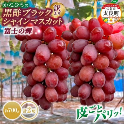 【訳あり】かねひろの黒酢ブラックシャインマスカット 富士の輝き 合計約1.4kg【003-0008】