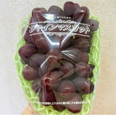【訳あり】かねひろの黒酢ブラックシャインマスカット 富士の輝き 合計約1.4kg【003-0008】