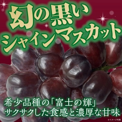 かねひろの黒酢ブラックシャインマスカット 富士の輝き 計2房(約1.4kg)【PB11x1】