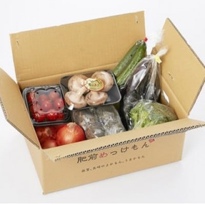 肥前の国のお野菜詰め合わせセット(8～10品目)