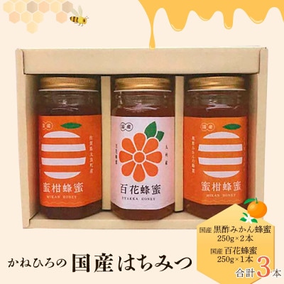 かねひろの国産はちみつ(黒酢みかん蜜、百花蜜)計3本【P-42】
