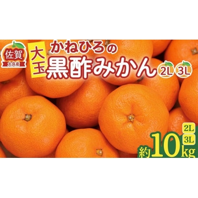 【佐賀県太良町】かねひろの黒酢みかん 大玉 約10kg(2L～3Lサイズ)【003-0002×1】