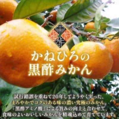 【佐賀県太良町】かねひろの黒酢みかん 大玉 約10kg(2L～3Lサイズ)【003-0002×1】