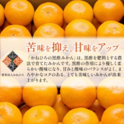 【佐賀県太良町】かねひろの黒酢みかん 大玉 約10kg(2L～3Lサイズ)【003-0002×1】