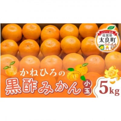 【佐賀県太良町】かねひろの黒酢みかん(小玉)5kg(3S～2S)【L39×1】