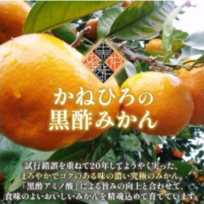 【佐賀県太良町】かねひろの黒酢みかん(小玉)5kg(3S～2S)【L39×1】