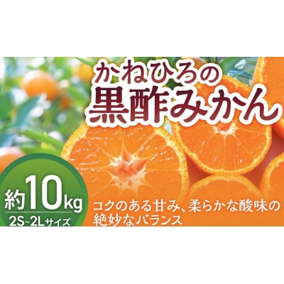 【佐賀県太良町】かねひろの黒酢みかん約10kg(2S～2L)【N77×1】