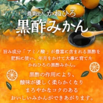 【佐賀県太良町】かねひろの黒酢みかん約10kg(2S～2L)【N77×1】
