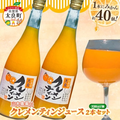 山本農園のクレメンティンジュース 2本セット(太良町)【NC28】