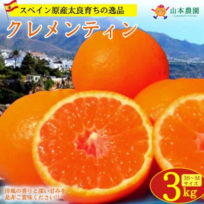 山本農園のクレメンティン 約3kg(太良町)【L41×2】